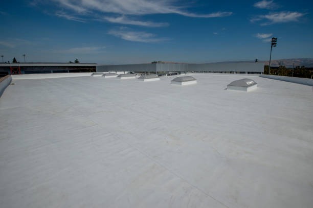 Best Roof Ventilation Installation  in Amador Pines, CA