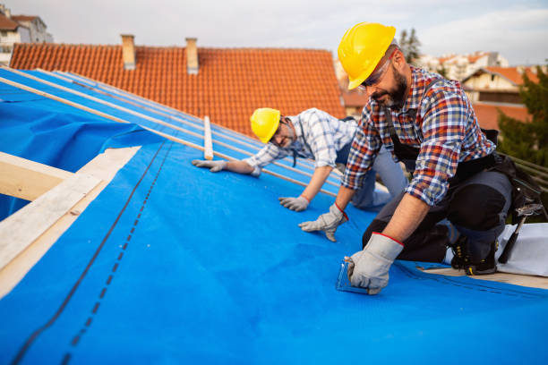 Best Roof Moss and Algae Removal  in Amador Pines, CA