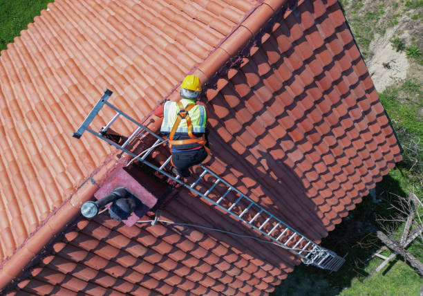 Best Chimney Flashing Repair  in Amador Pines, CA